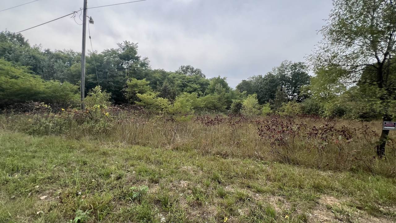 0007 Green Acres Road - Photo 1