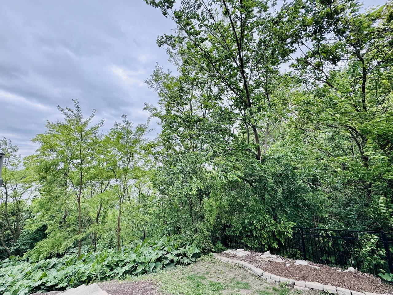 https://bt-photos.global.ssl.fastly.net/mred/1280_boomver_1_12548829-1.jpg