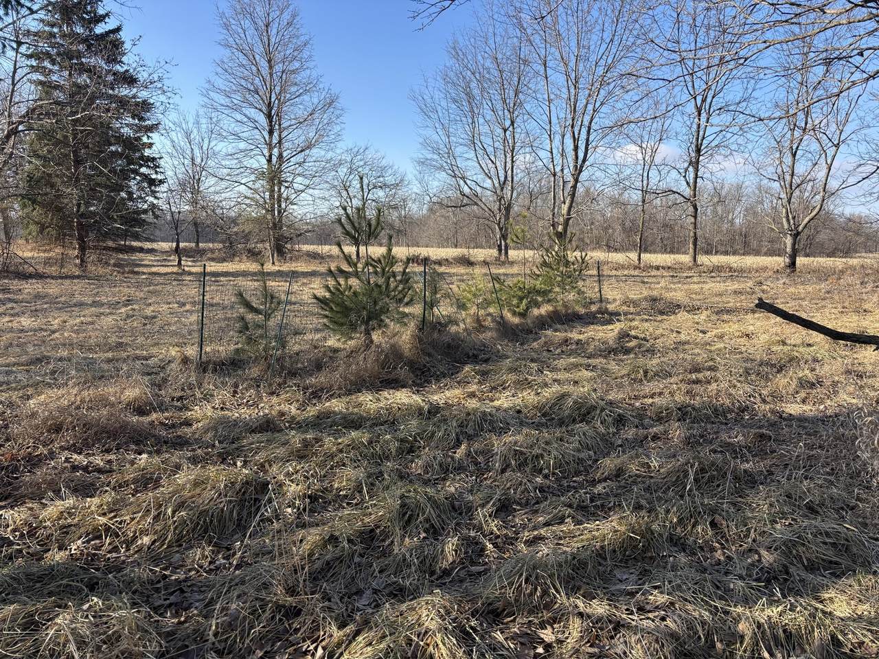 735 Brookside Drive - Photo 1
