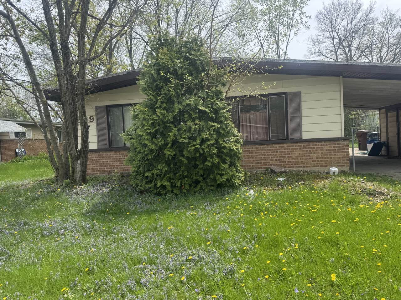 329 Somonauk Street - Photo 1