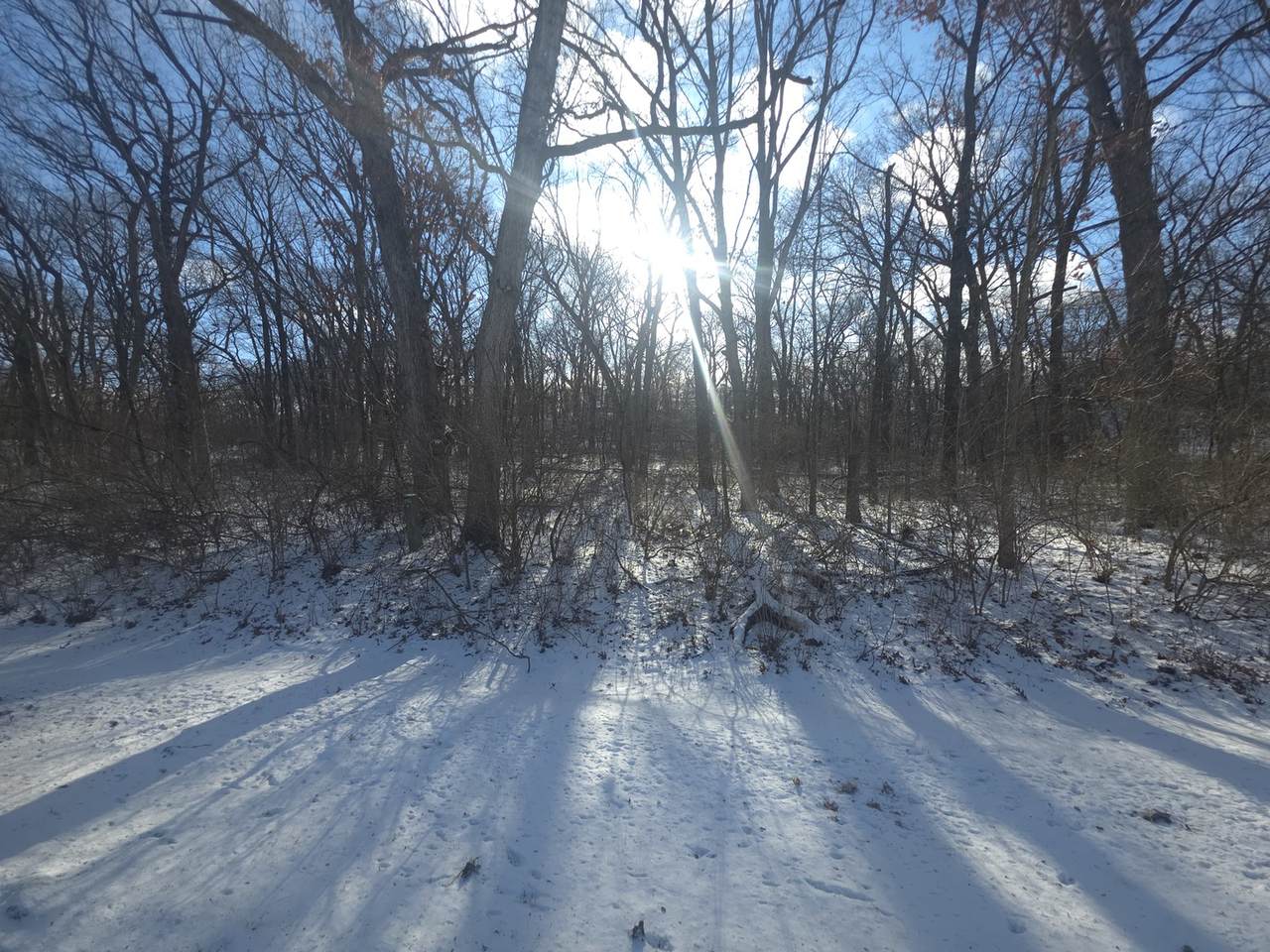 916 Missouri Drive - Photo 1