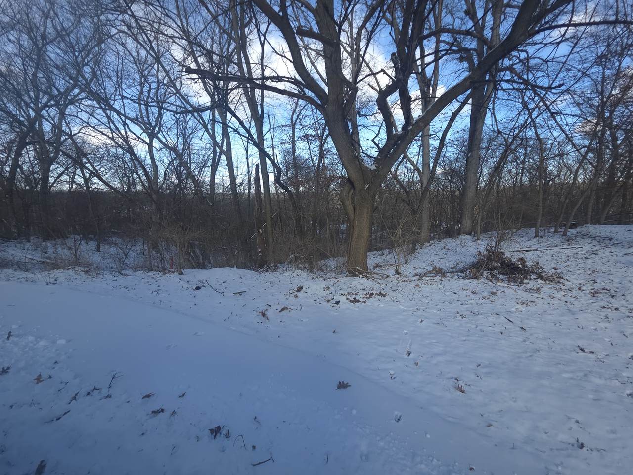110 Fork Road - Photo 1