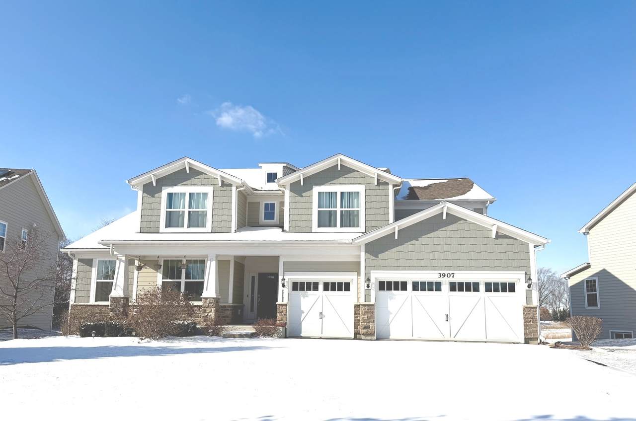 3907 Nannyberry Street - Photo 1