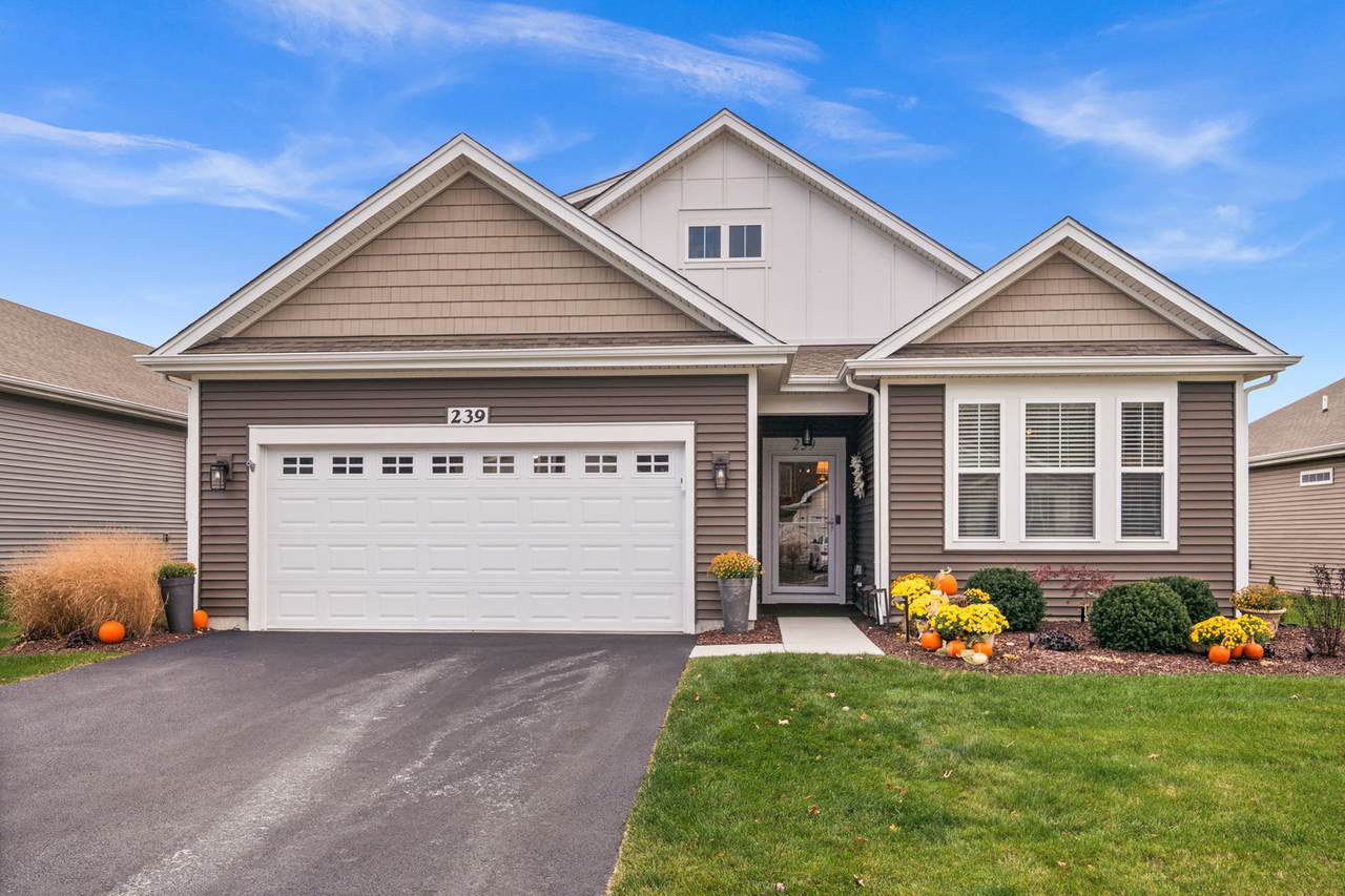 239 Durham Street - Photo 1