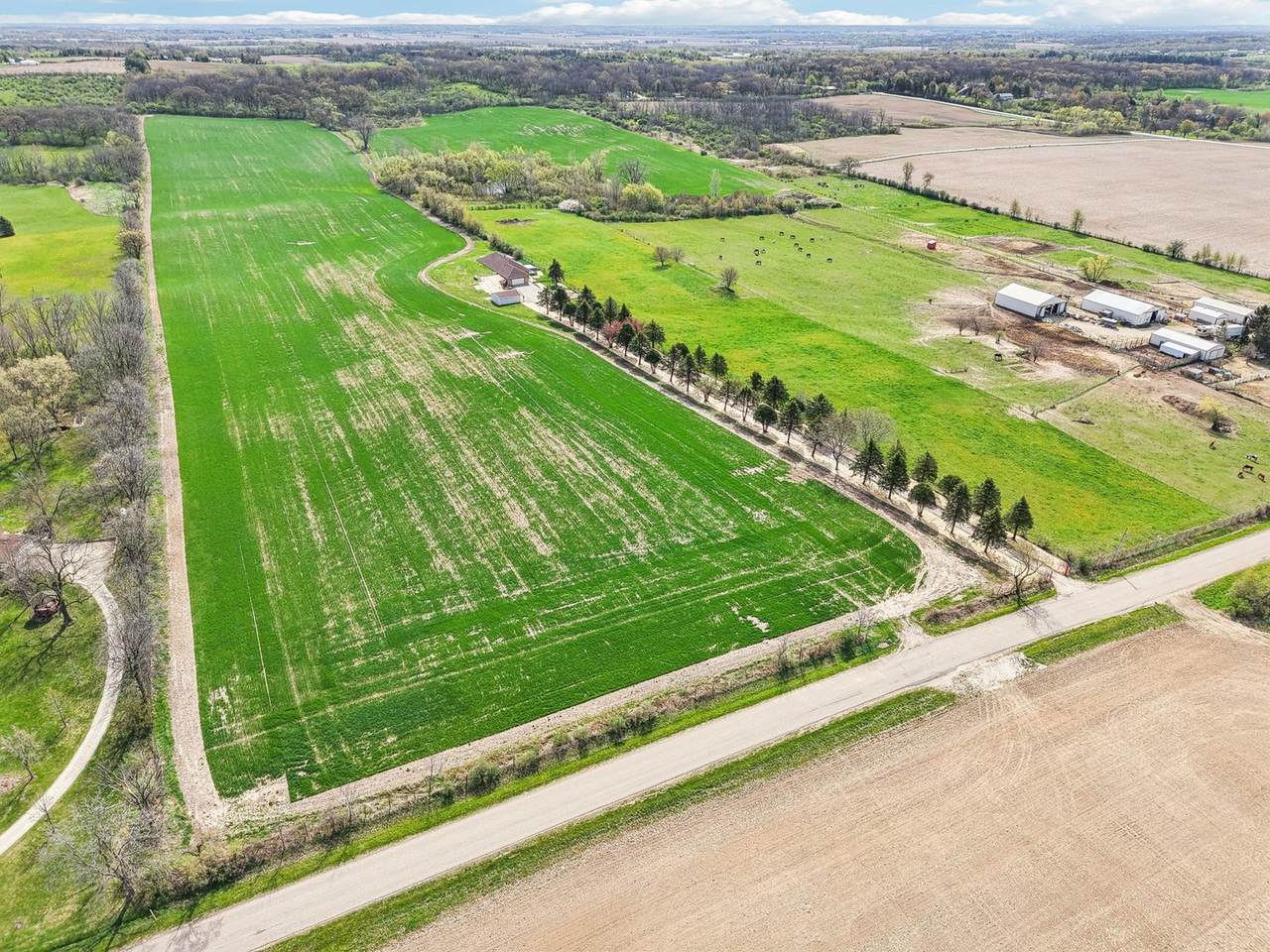 1406 Busse Road - Photo 1