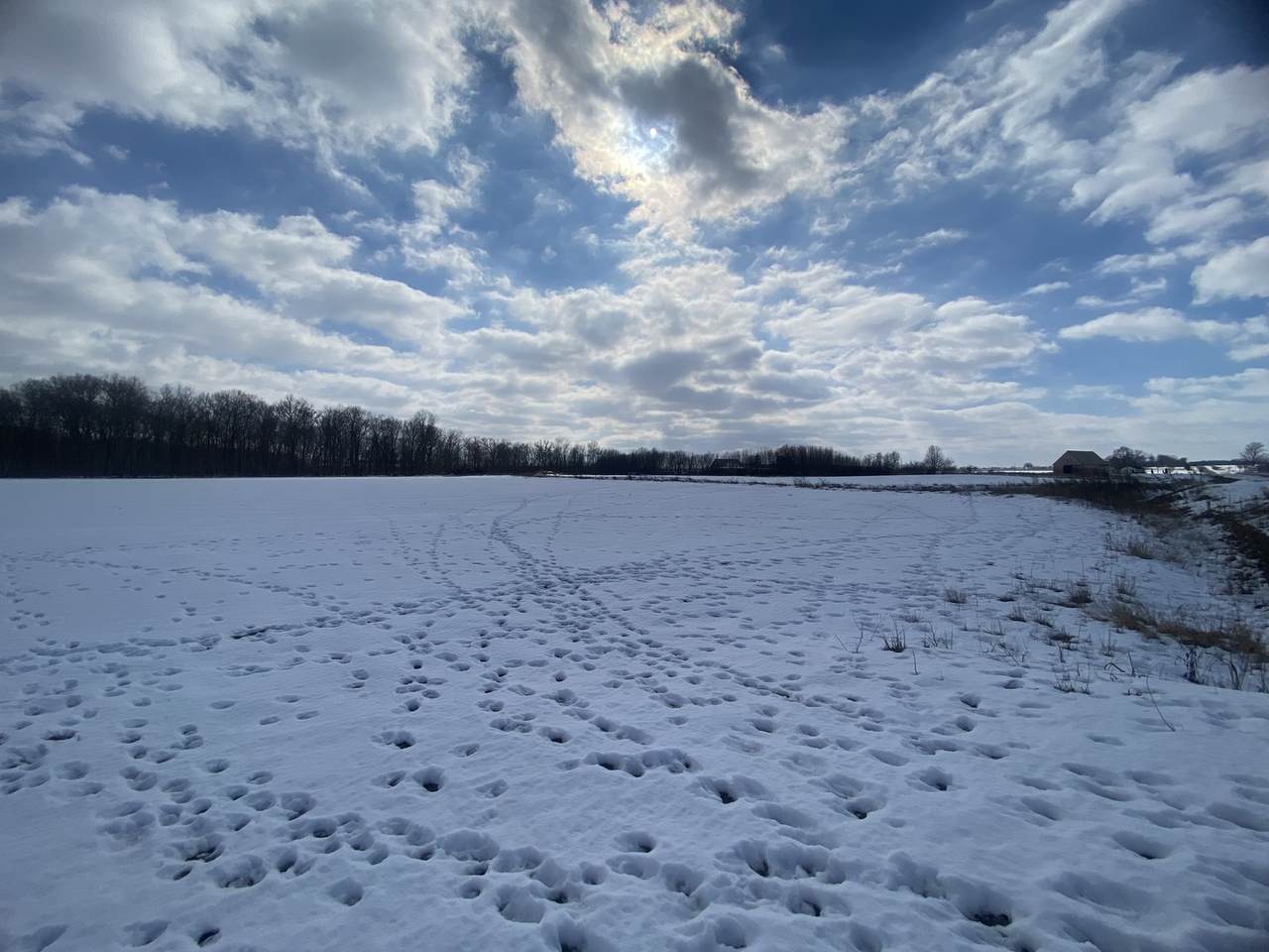 https://bt-photos.global.ssl.fastly.net/mred/1280_boomver_1_12563344-1.jpg