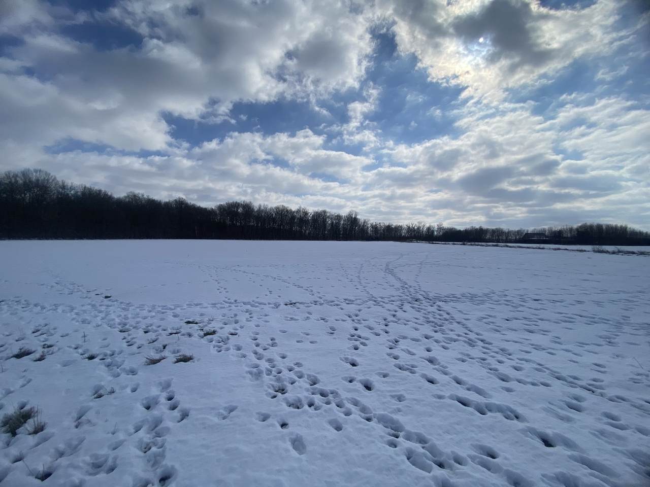 https://bt-photos.global.ssl.fastly.net/mred/1280_boomver_1_12563344-1.jpg