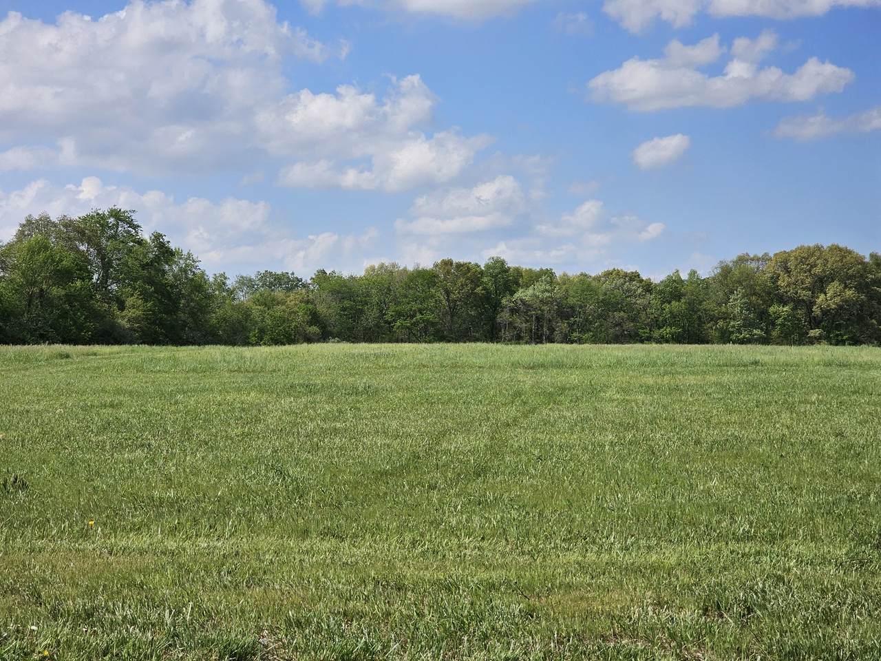 17225 Akin Black Top Road - Photo 1