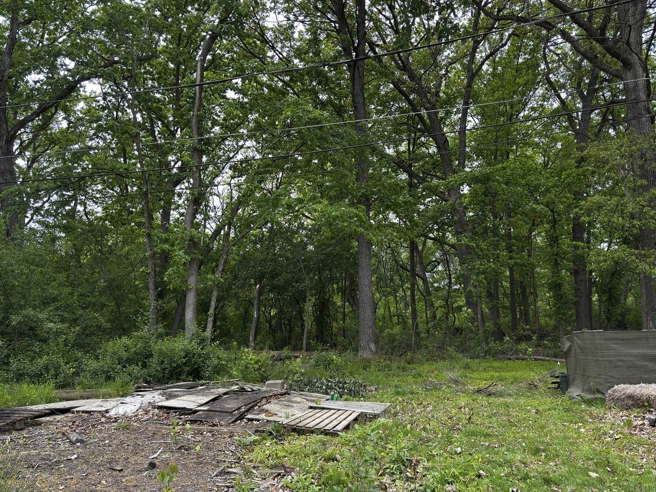 https://bt-photos.global.ssl.fastly.net/mred/1280_boomver_1_12579267-1.jpg