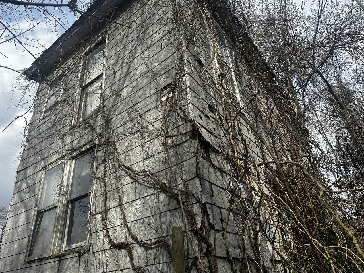 https://bt-photos.global.ssl.fastly.net/mred/1280_boomver_1_12582778-1.jpg