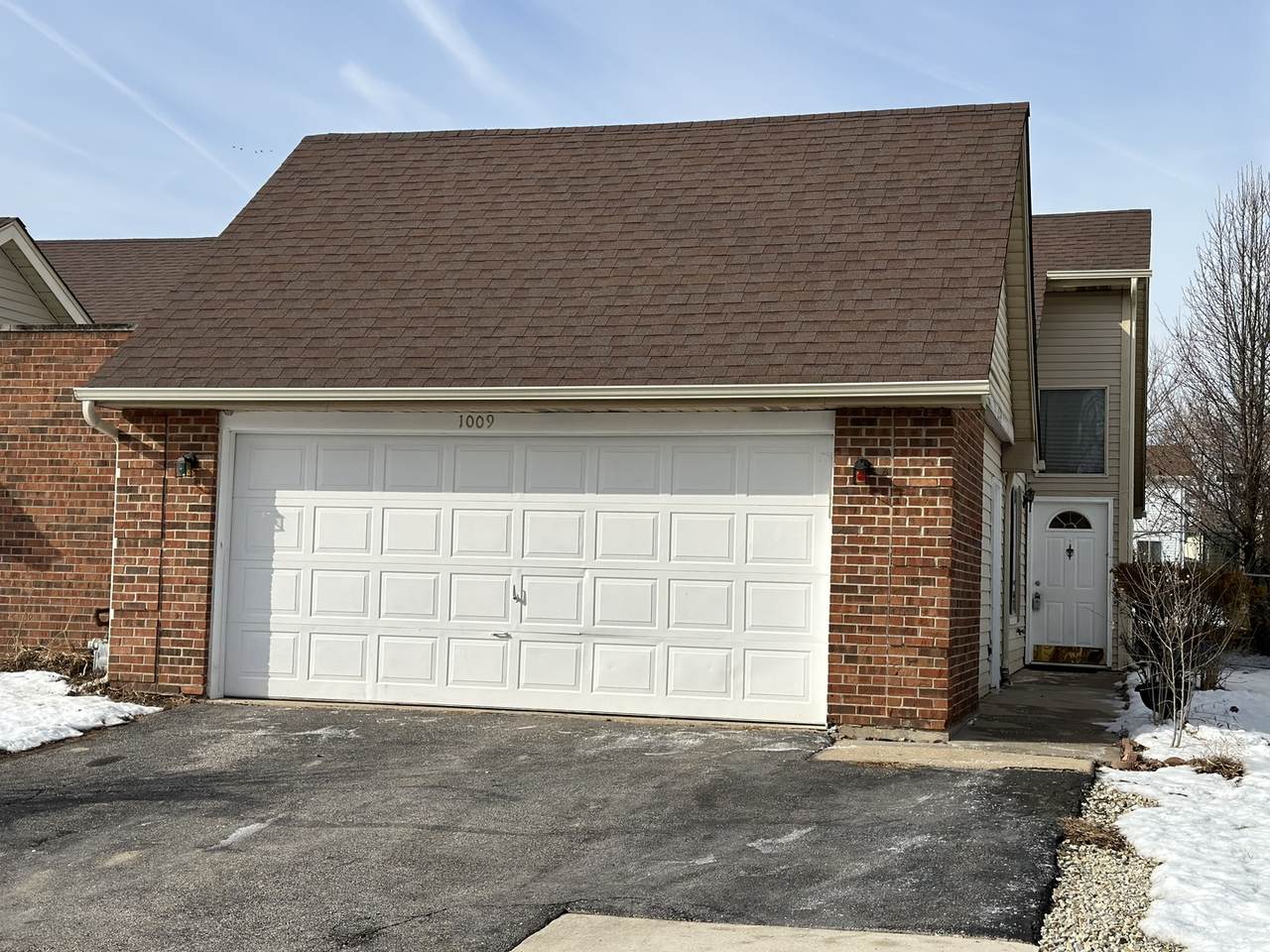 1009 Pheasant Run Lane - Photo 1
