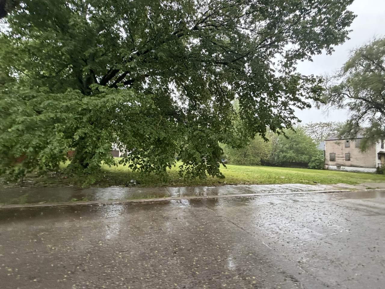 6421 Justine Street - Photo 1