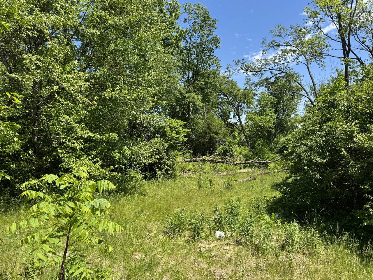 11679 Il Route 2 - Photo 1