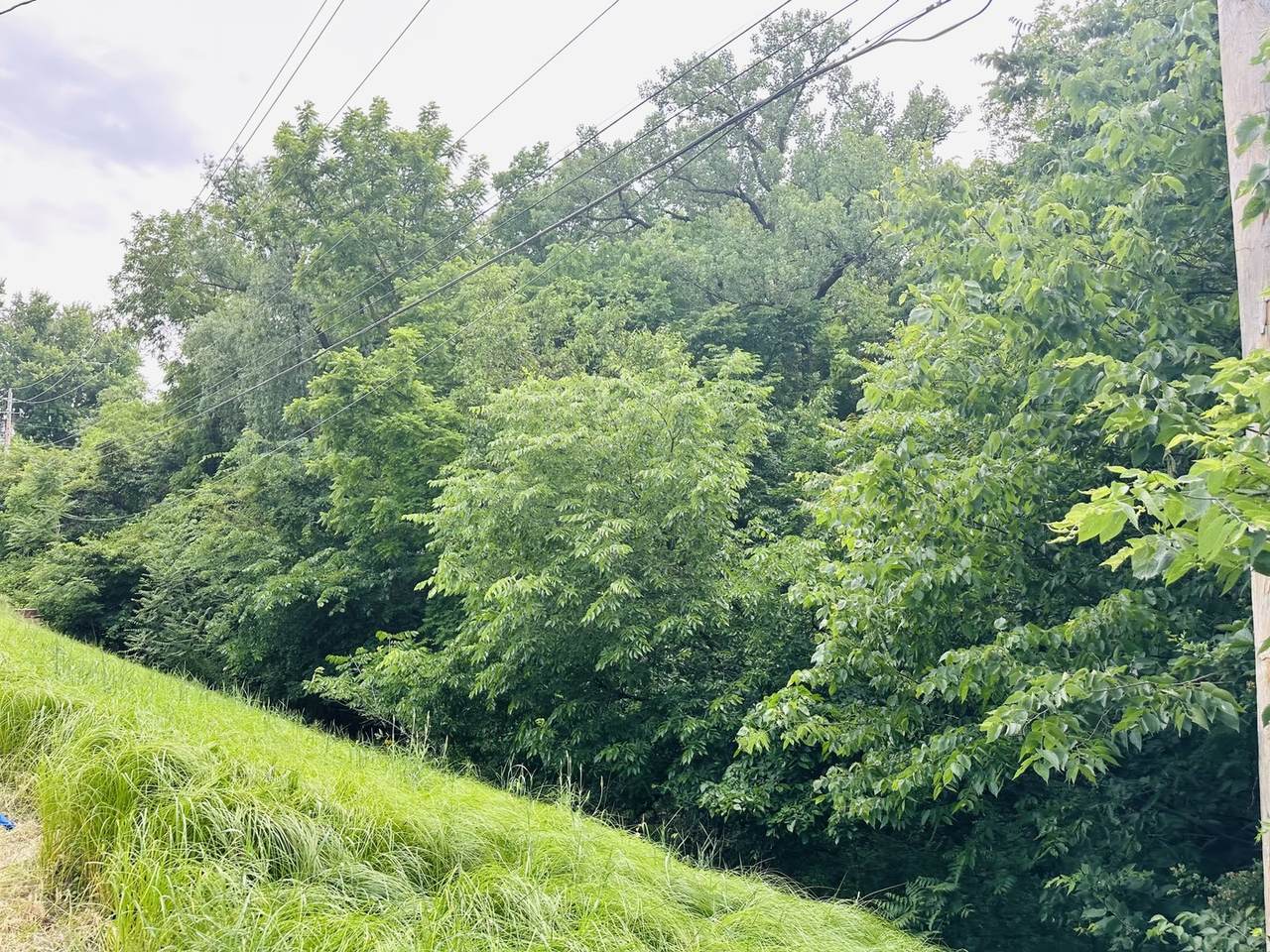 https://bt-photos.global.ssl.fastly.net/mred/1280_boomver_1_12662300-1.jpg
