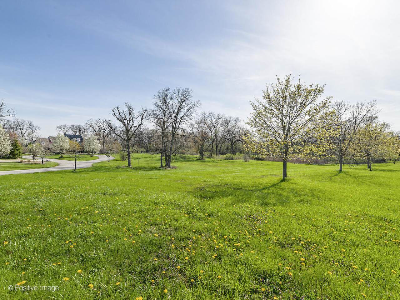 215 Oak Brook Road - Photo 1