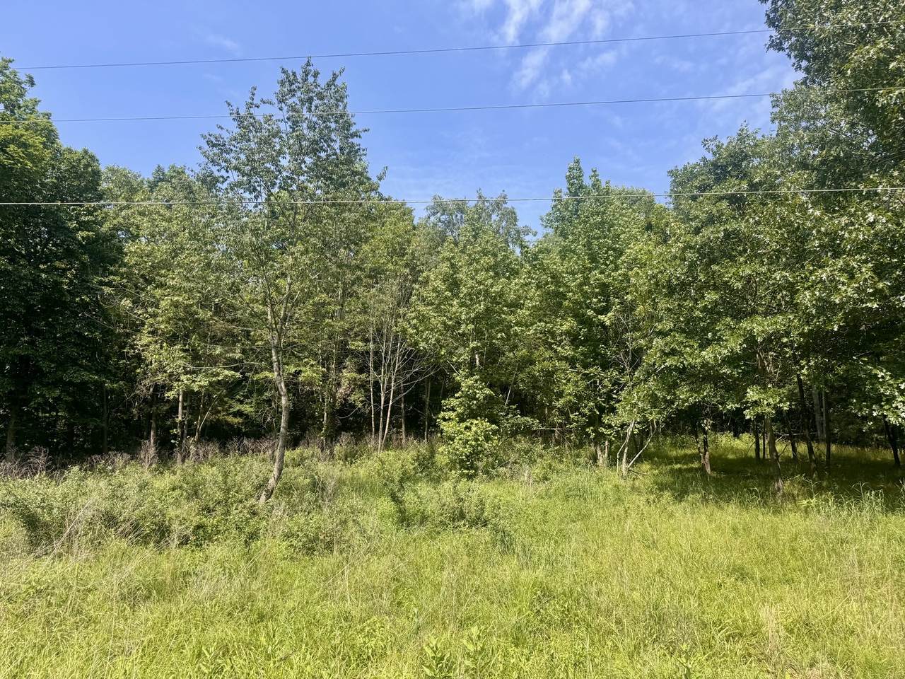 000 Shawnee Drive - Photo 1