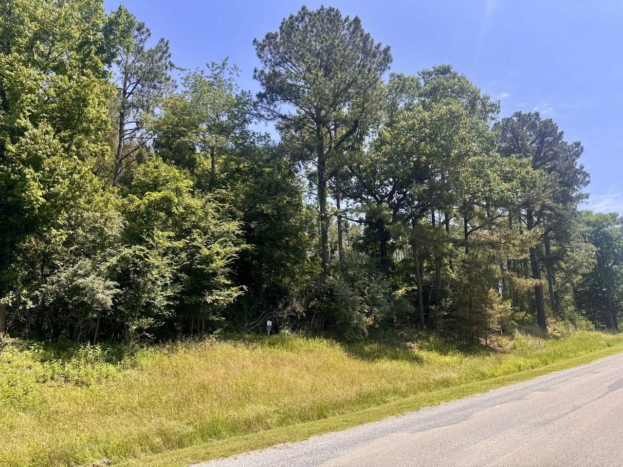 Lot 273 & 274 Rocky Point Road - Photo 1
