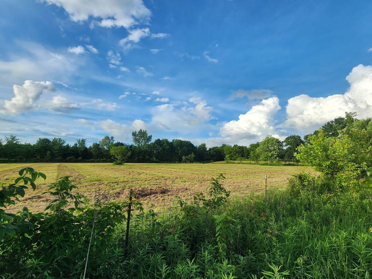 https://bt-photos.global.ssl.fastly.net/mred/1280_boomver_1_12666310-1.jpg