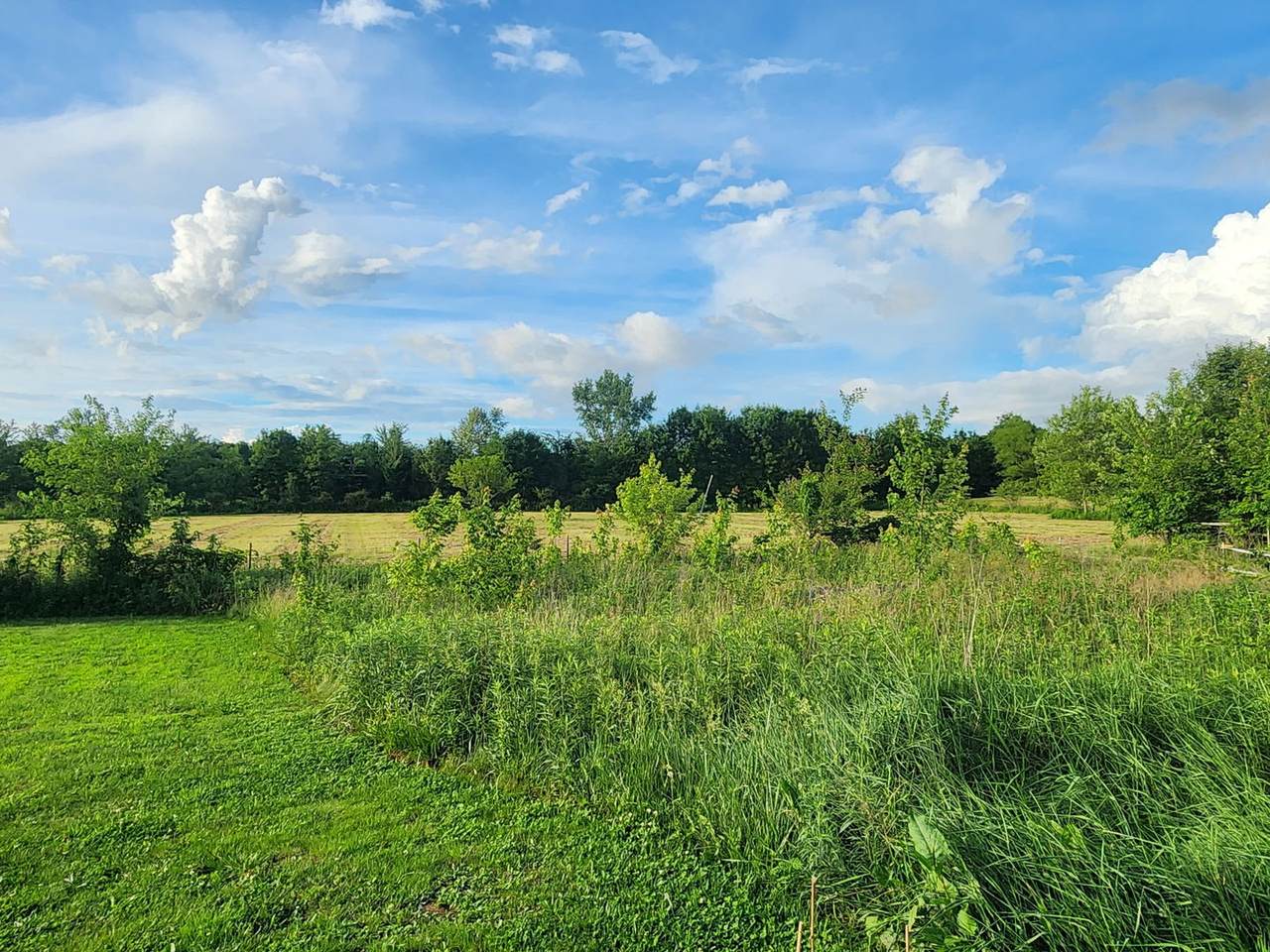 https://bt-photos.global.ssl.fastly.net/mred/1280_boomver_1_12666310-1.jpg
