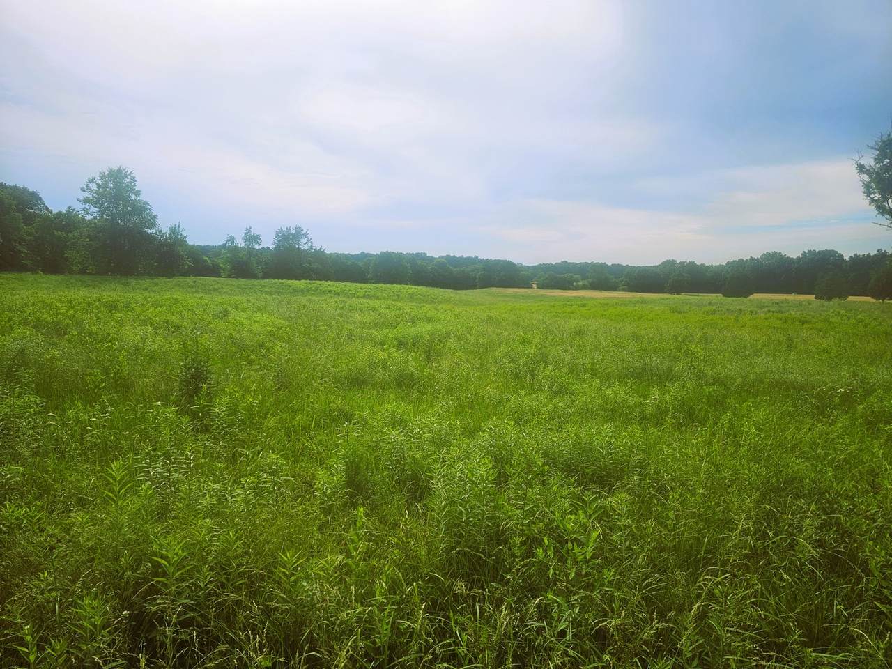 0000 Stanford Lane - Photo 1