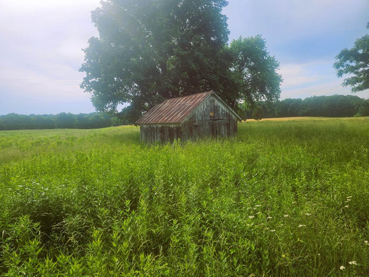 https://bt-photos.global.ssl.fastly.net/mred/1280_boomver_1_12666757-1.jpg
