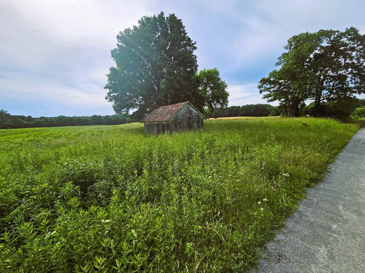 https://bt-photos.global.ssl.fastly.net/mred/1280_boomver_1_12666757-1.jpg