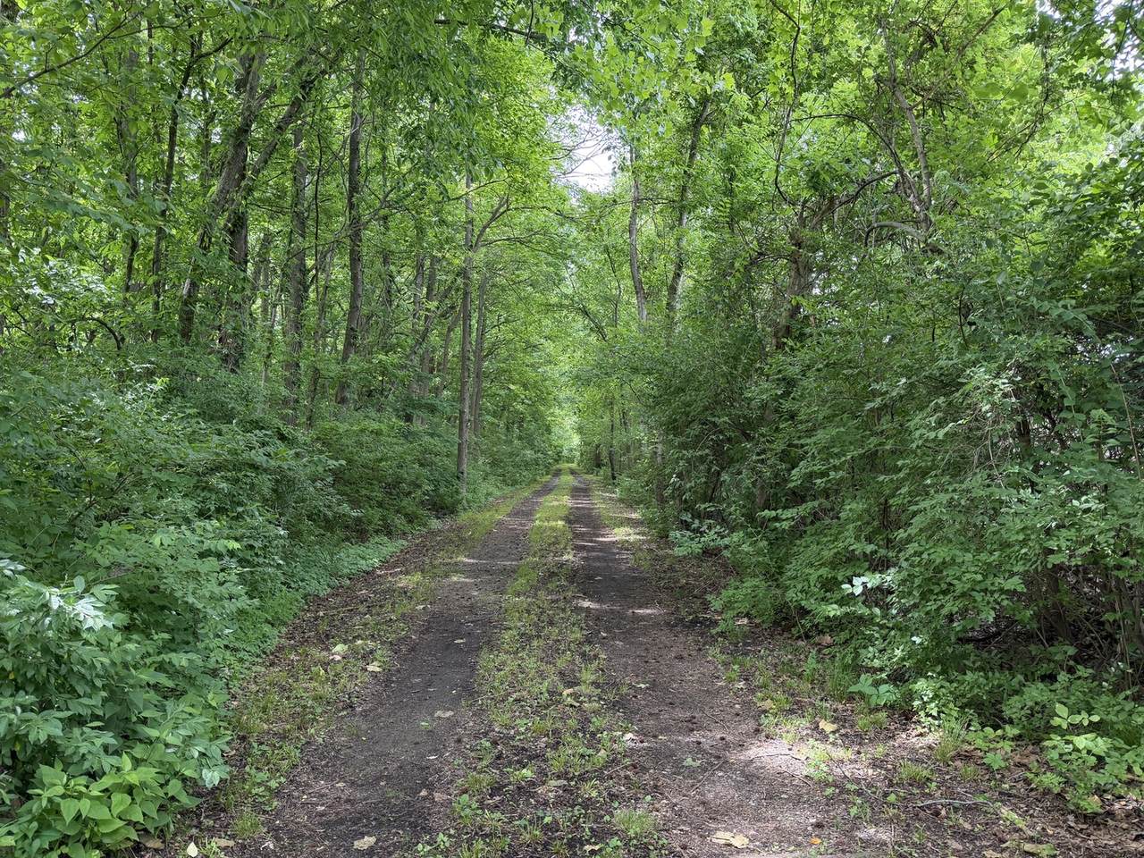 00 Shoemaker Drive - Photo 1