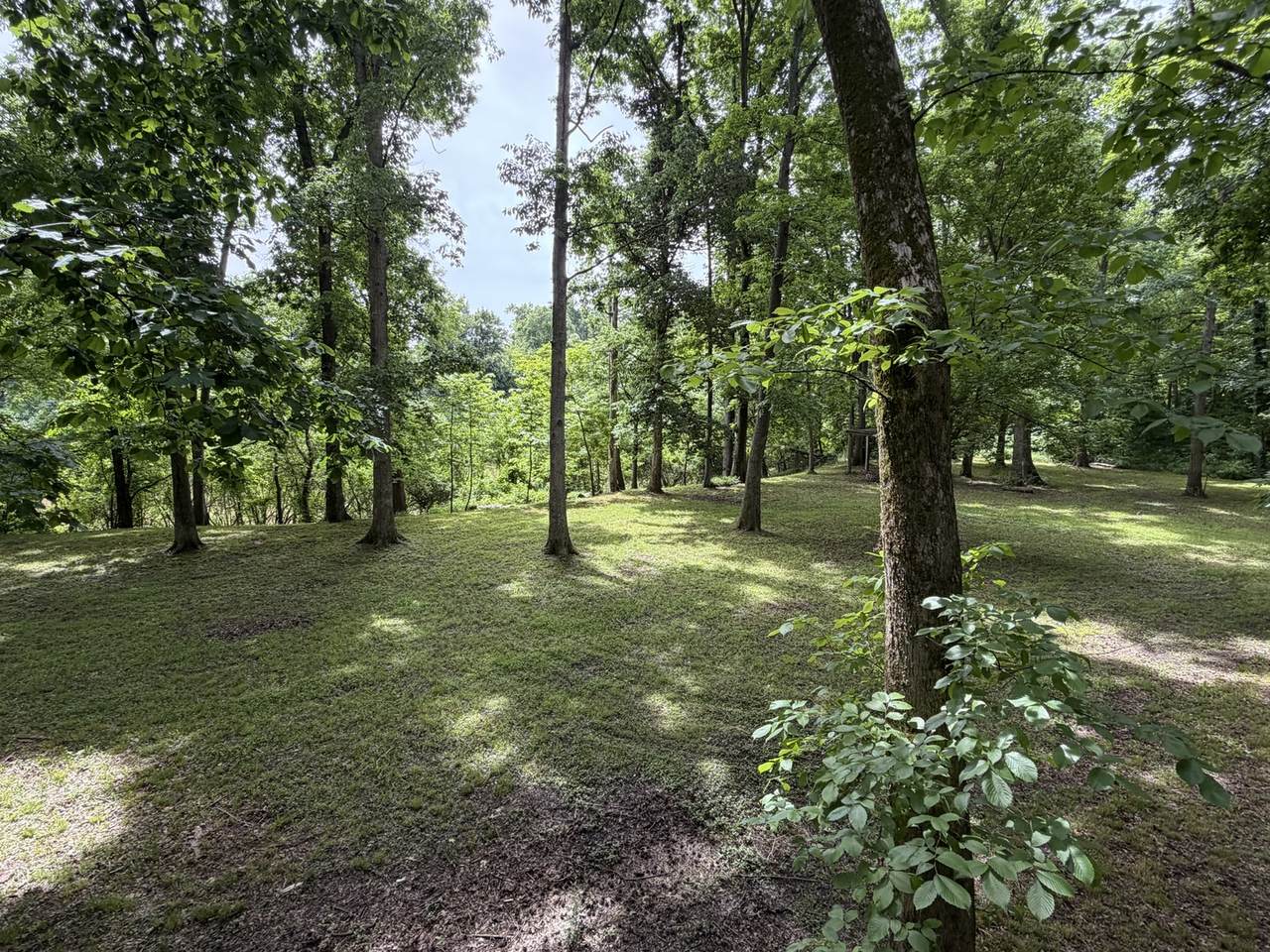 https://bt-photos.global.ssl.fastly.net/mred/1280_boomver_1_12667446-1.jpg