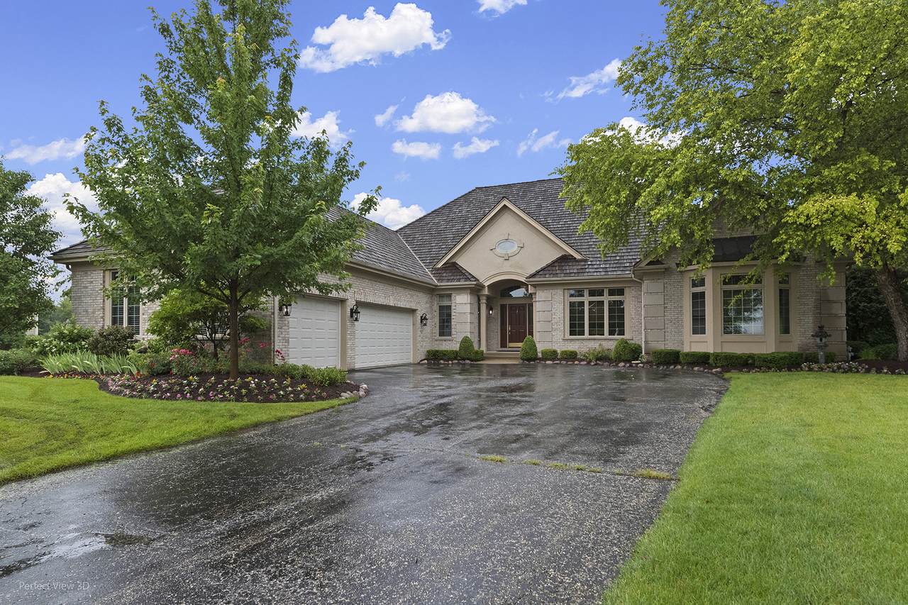 6650 White Pine Way - Photo 1