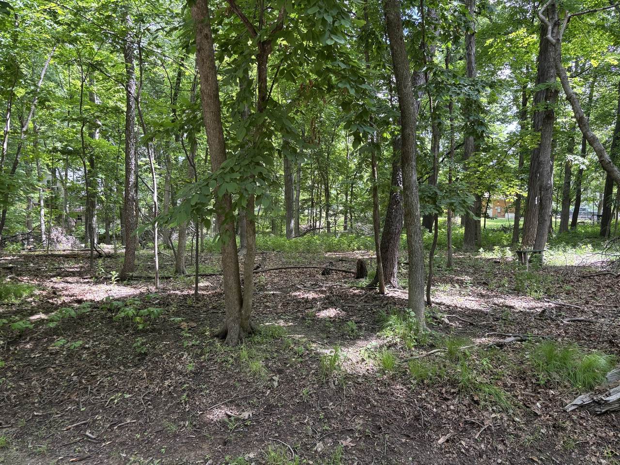 1101/1102 Jay Court - Photo 1