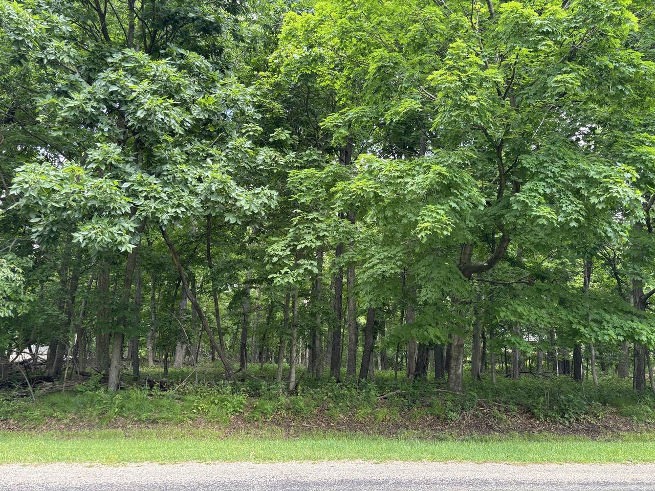 https://bt-photos.global.ssl.fastly.net/mred/1280_boomver_1_12672863-1.jpg