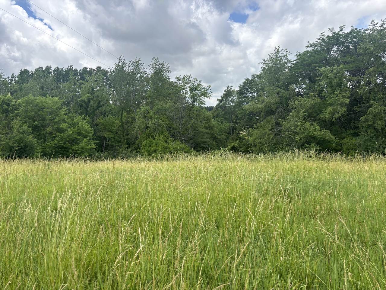 1026/1027 Plum Circle - Photo 1