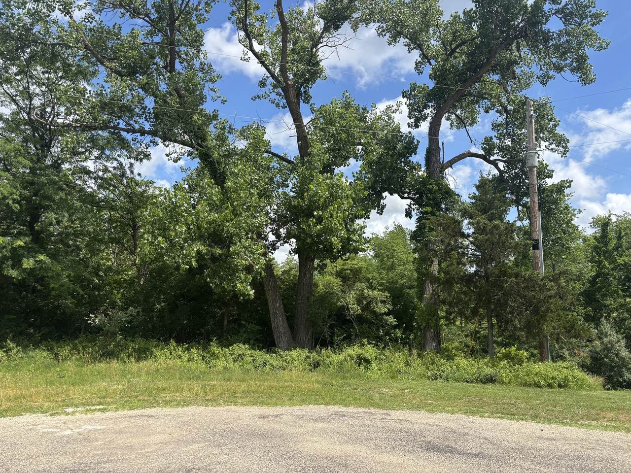 1025 Plum Circle - Photo 1