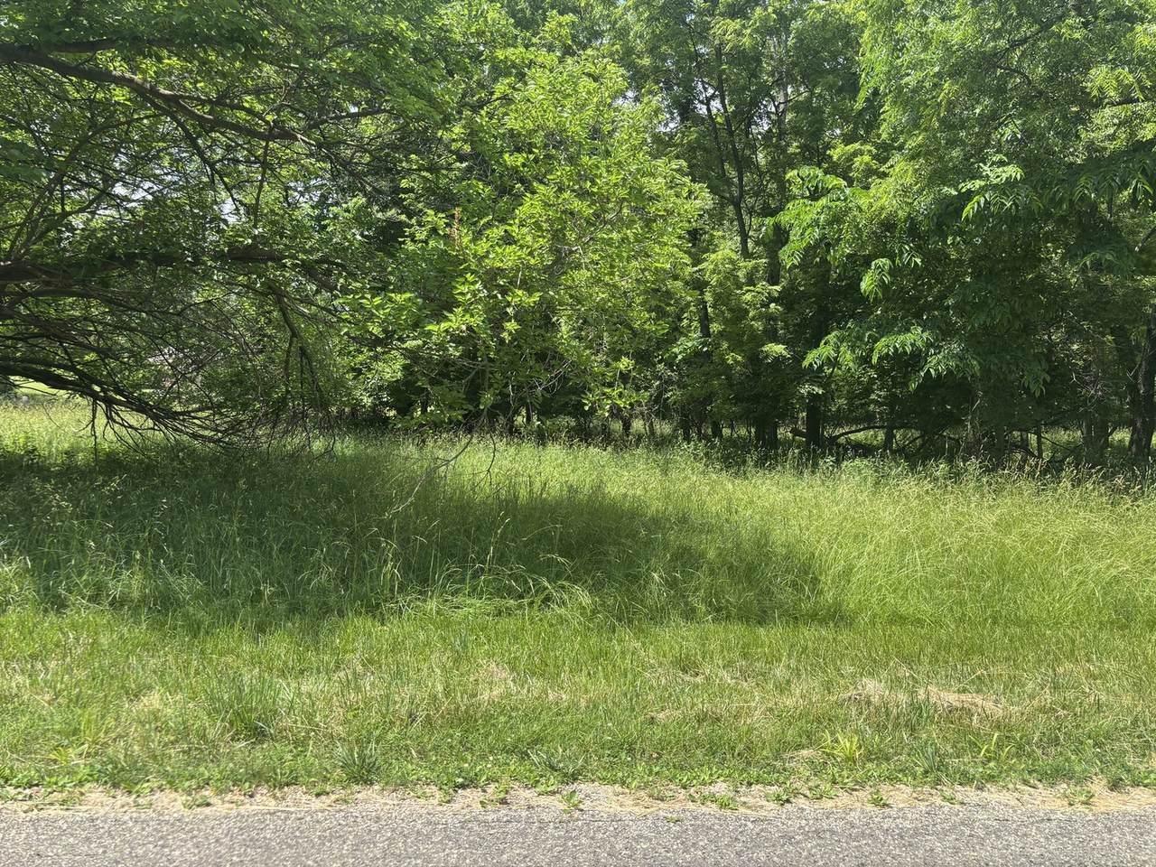 1483 Westover Drive - Photo 1