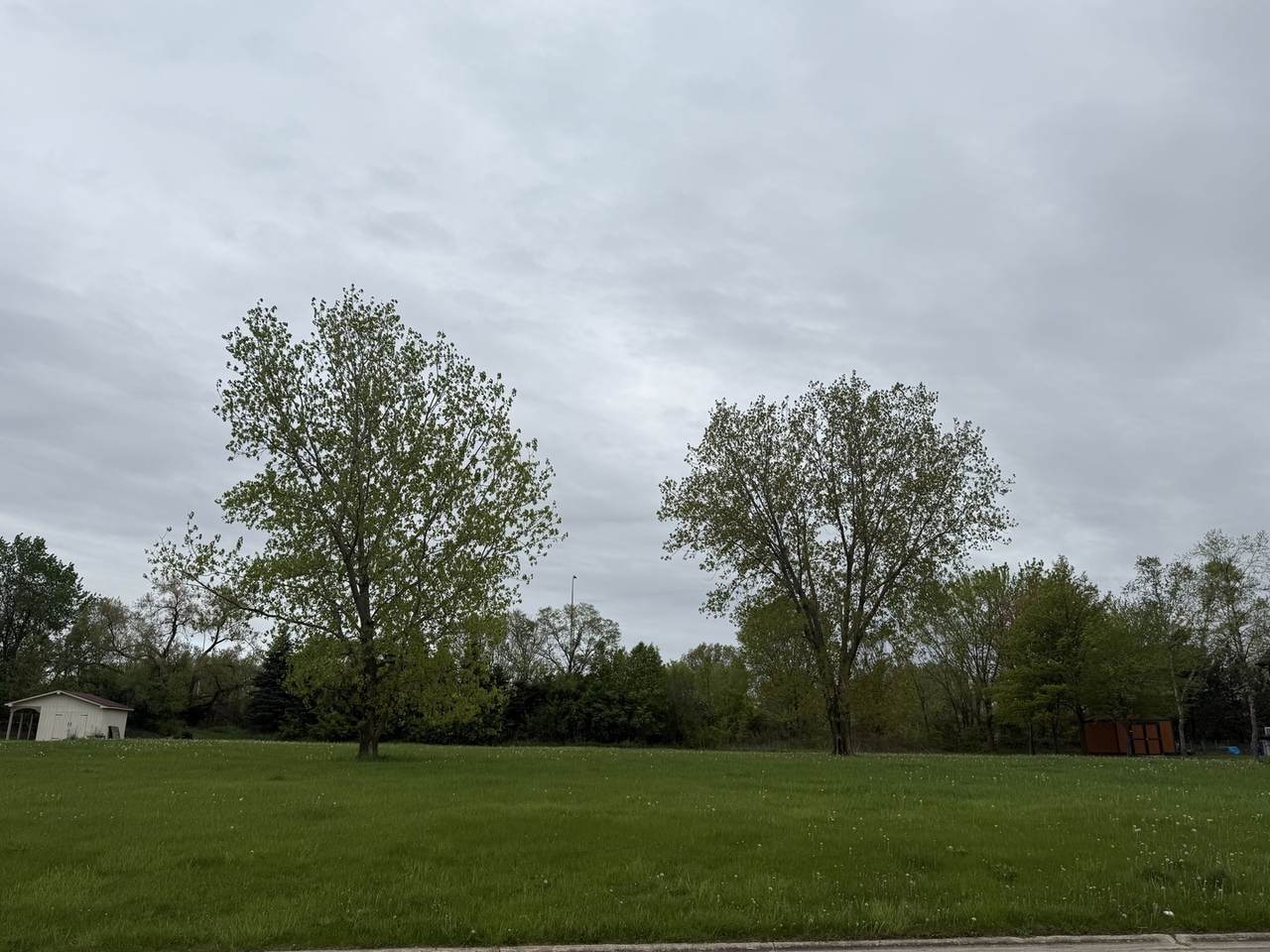 24317 Schubert Lane - Photo 1