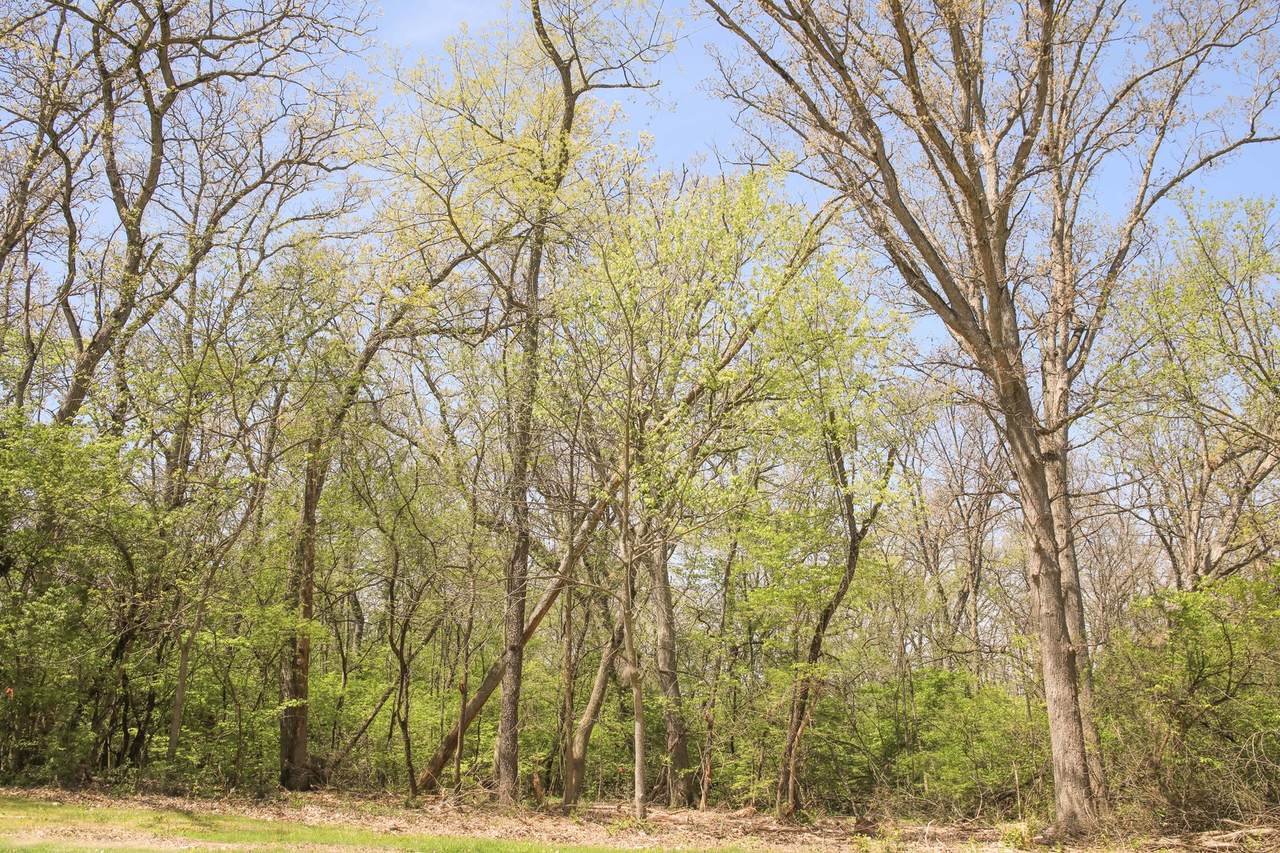 911 Echo (Lot 5) Trail - Photo 1