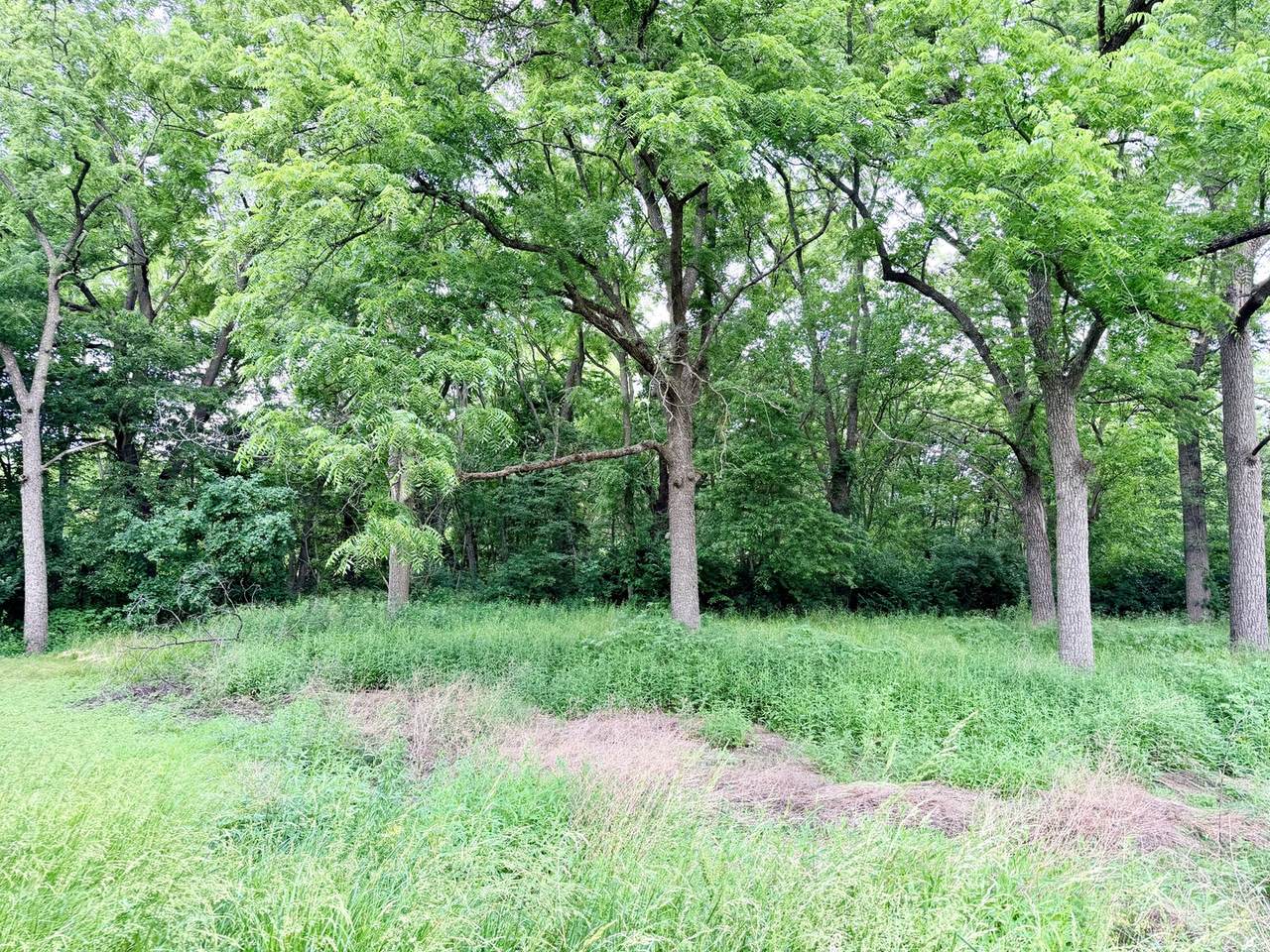 https://bt-photos.global.ssl.fastly.net/mred/1280_boomver_1_12675790-1.jpg