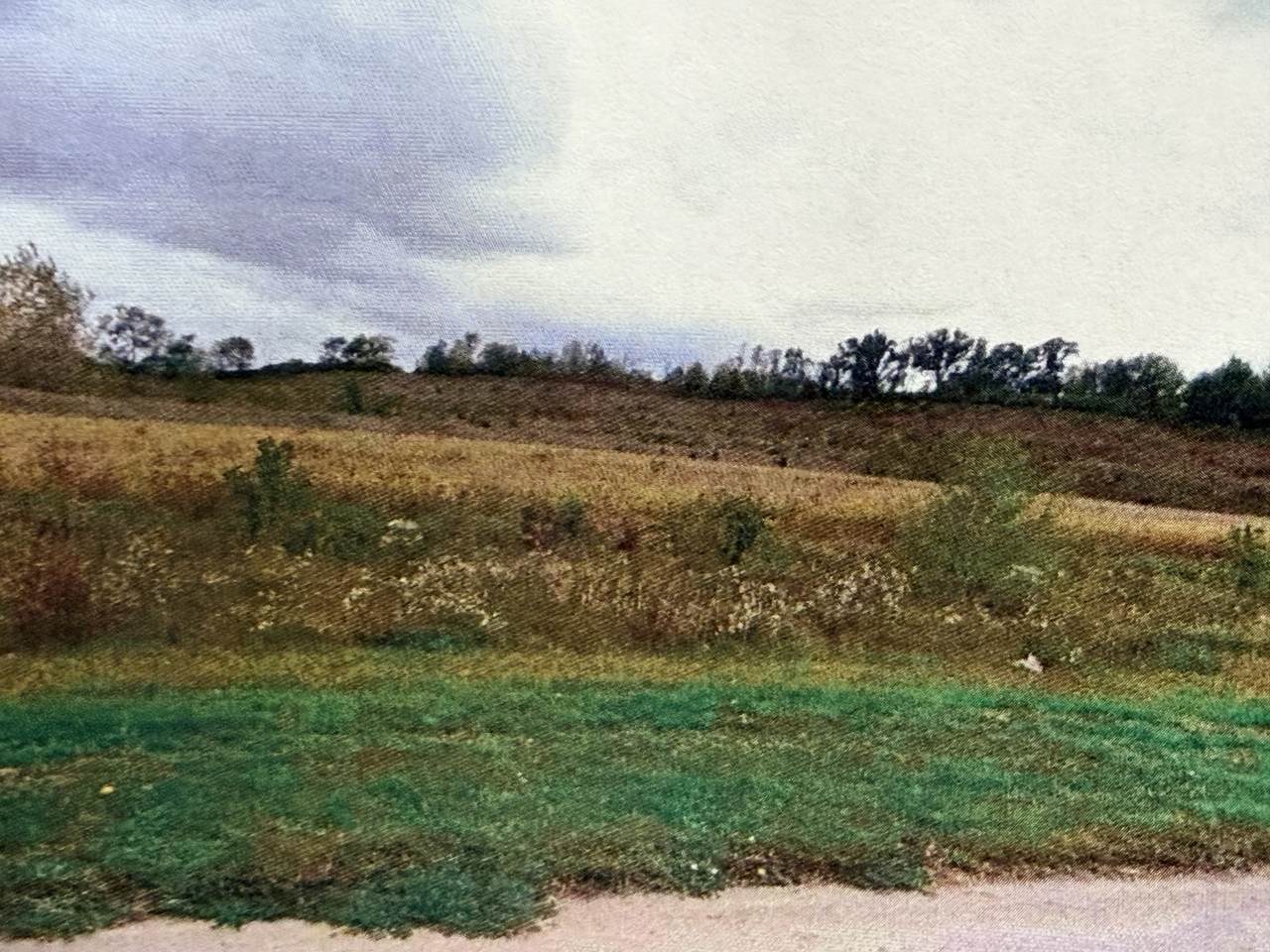 3000 Lincoln Way - Photo 1