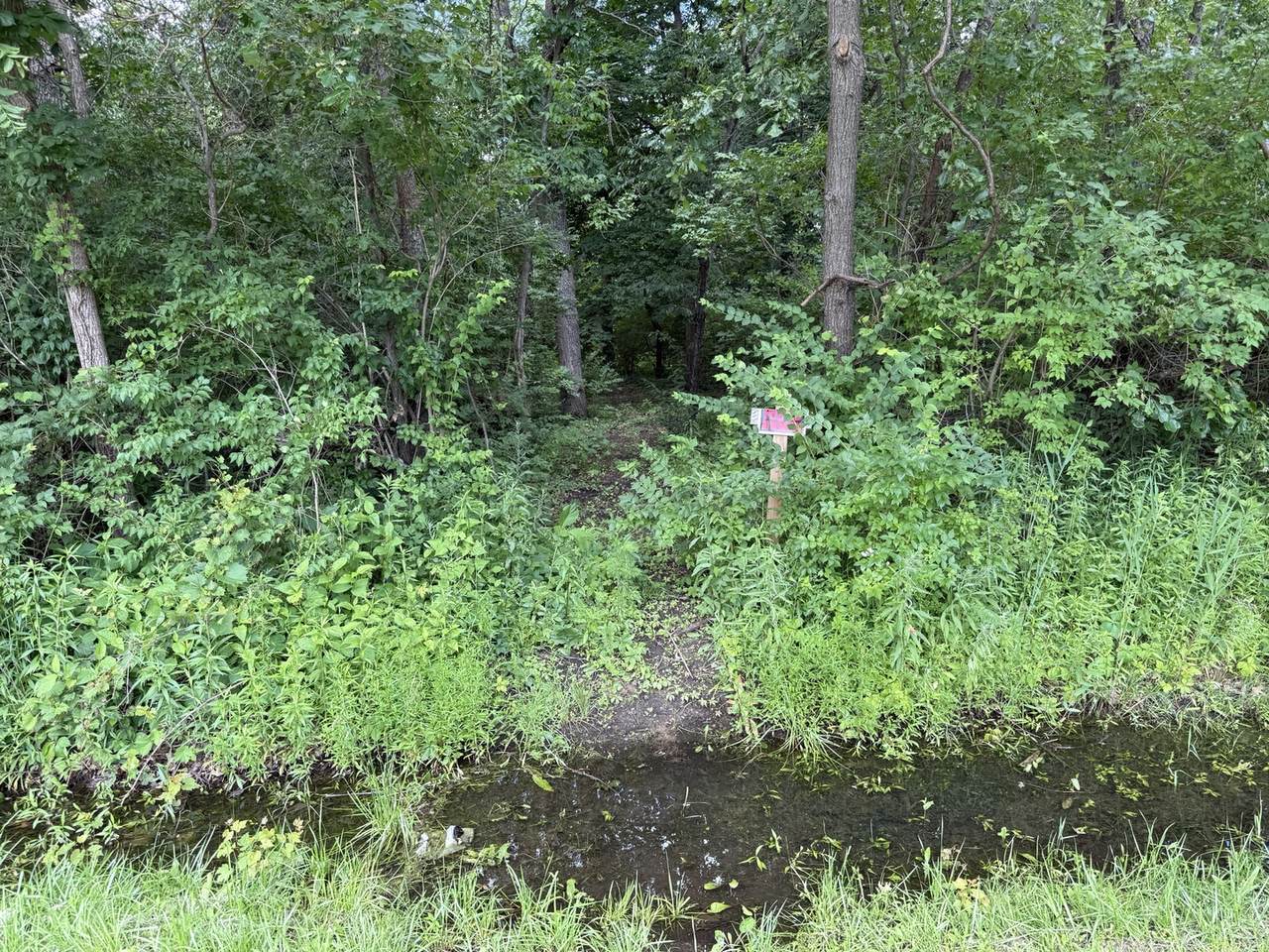 35841 Jay Drive - Photo 1