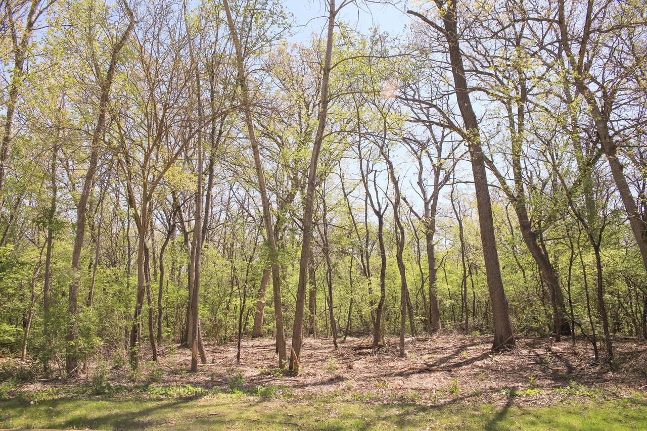 910 Echo (Lot 6) Trail - Photo 1