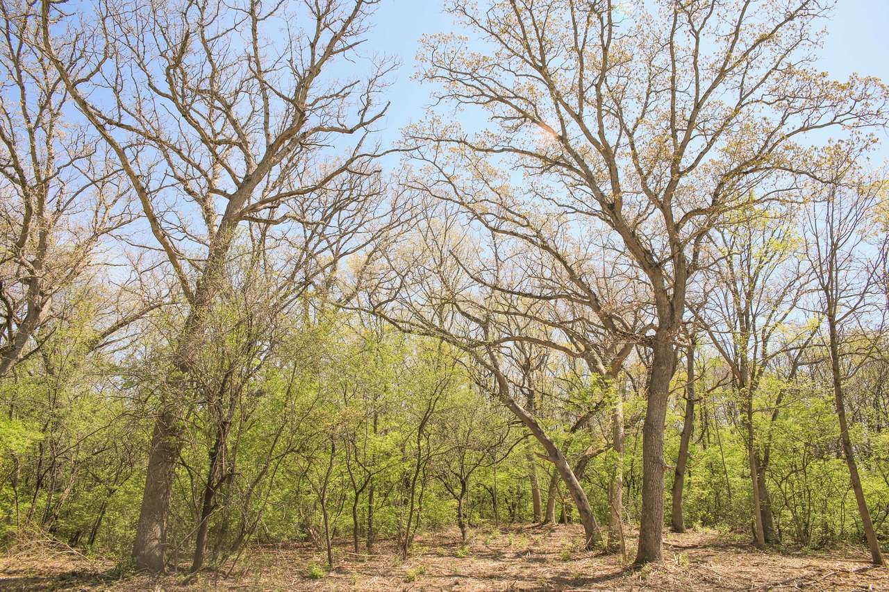 802 Echo (Lot 23) Trail - Photo 1
