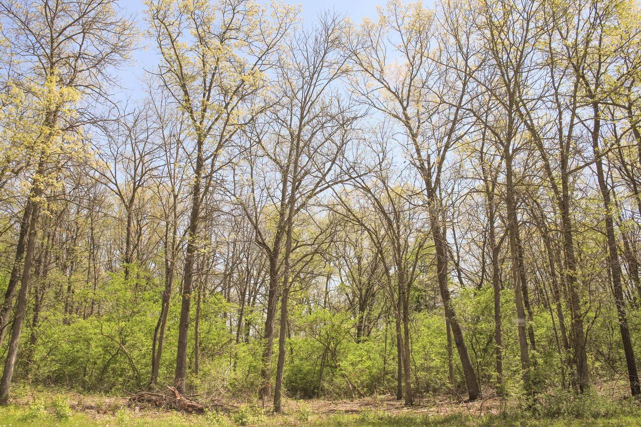 806 Echo (Lot 22) Trail - Photo 1