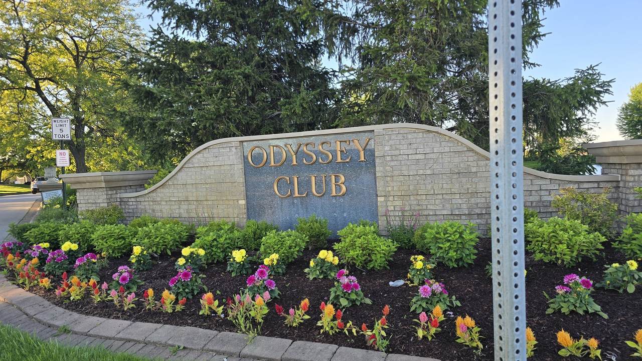 53 Odyssey Drive - Photo 1