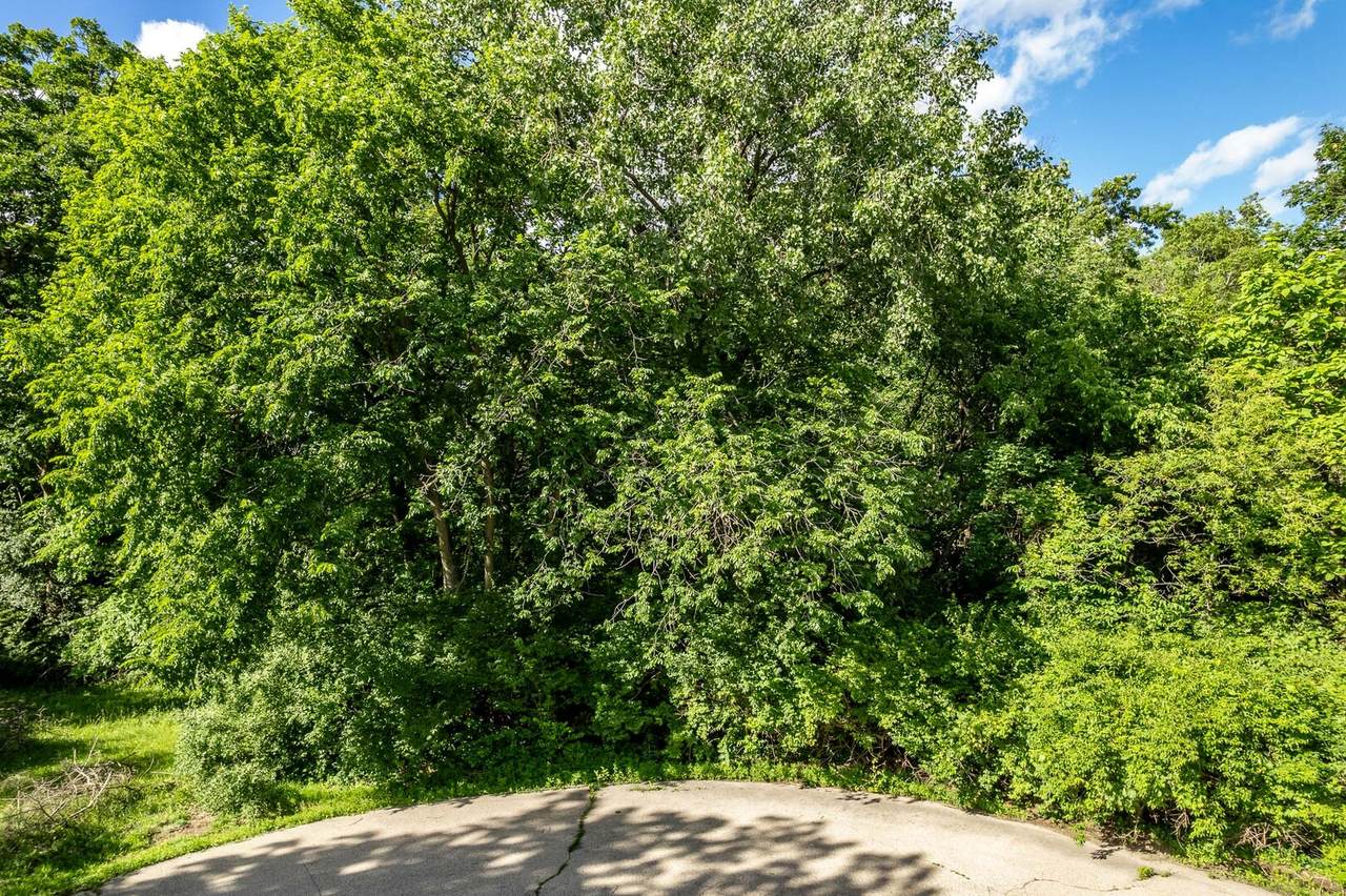 217 New Forest Road - Photo 1