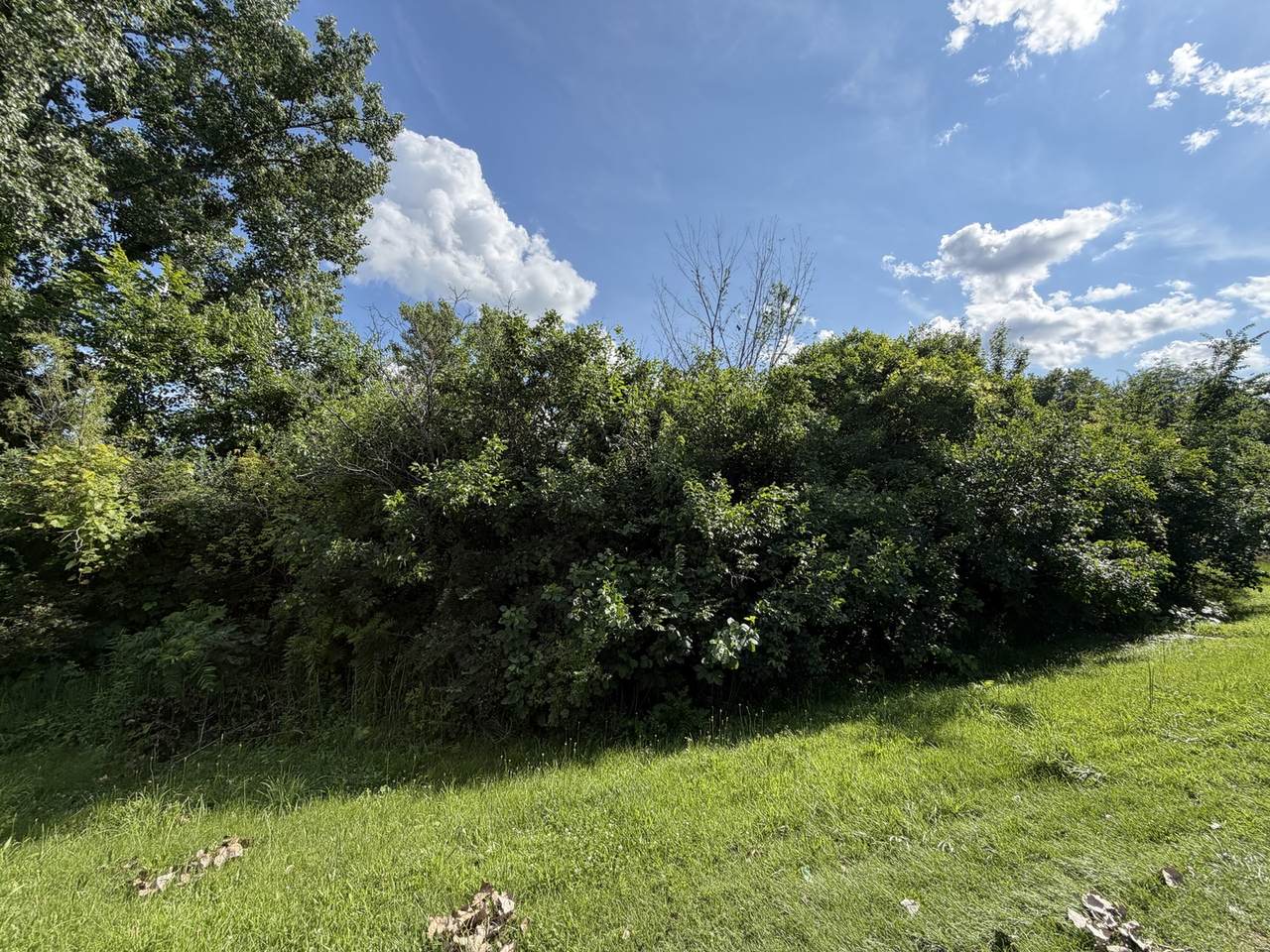 https://bt-photos.global.ssl.fastly.net/mred/1280_boomver_1_12688425-1.jpg