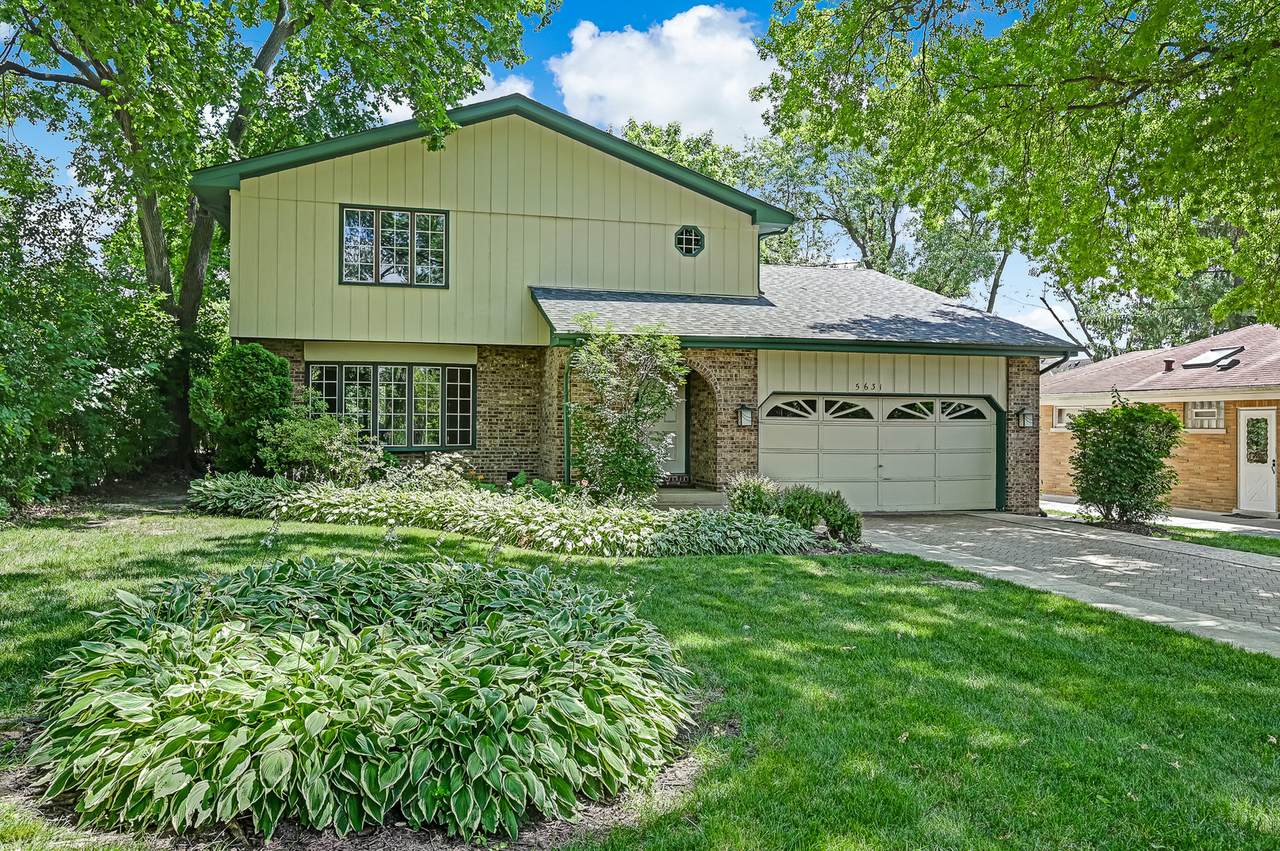 5631 Elm Street - Photo 1