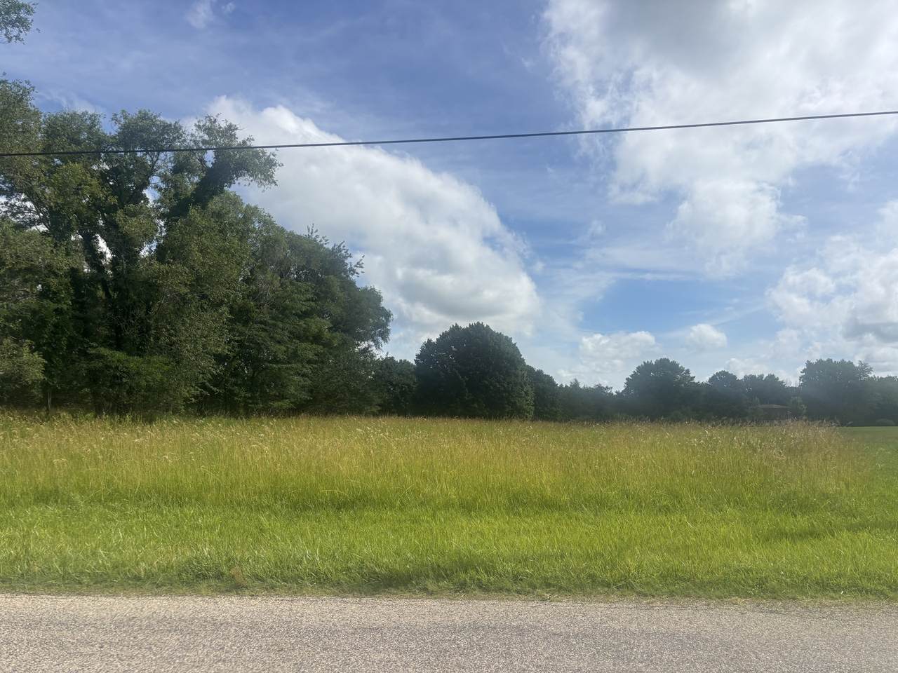 1184 Lake Wildwood Drive - Photo 1