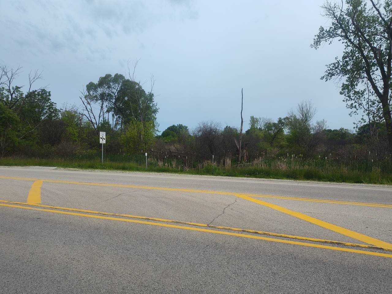 12923 Wadsworth Road - Photo 1