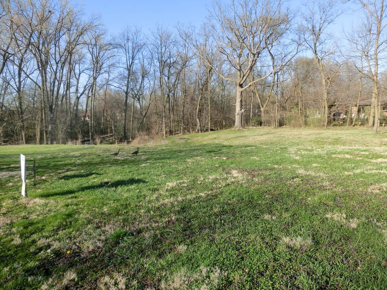 16979 Forest Glen Drive - Photo 1