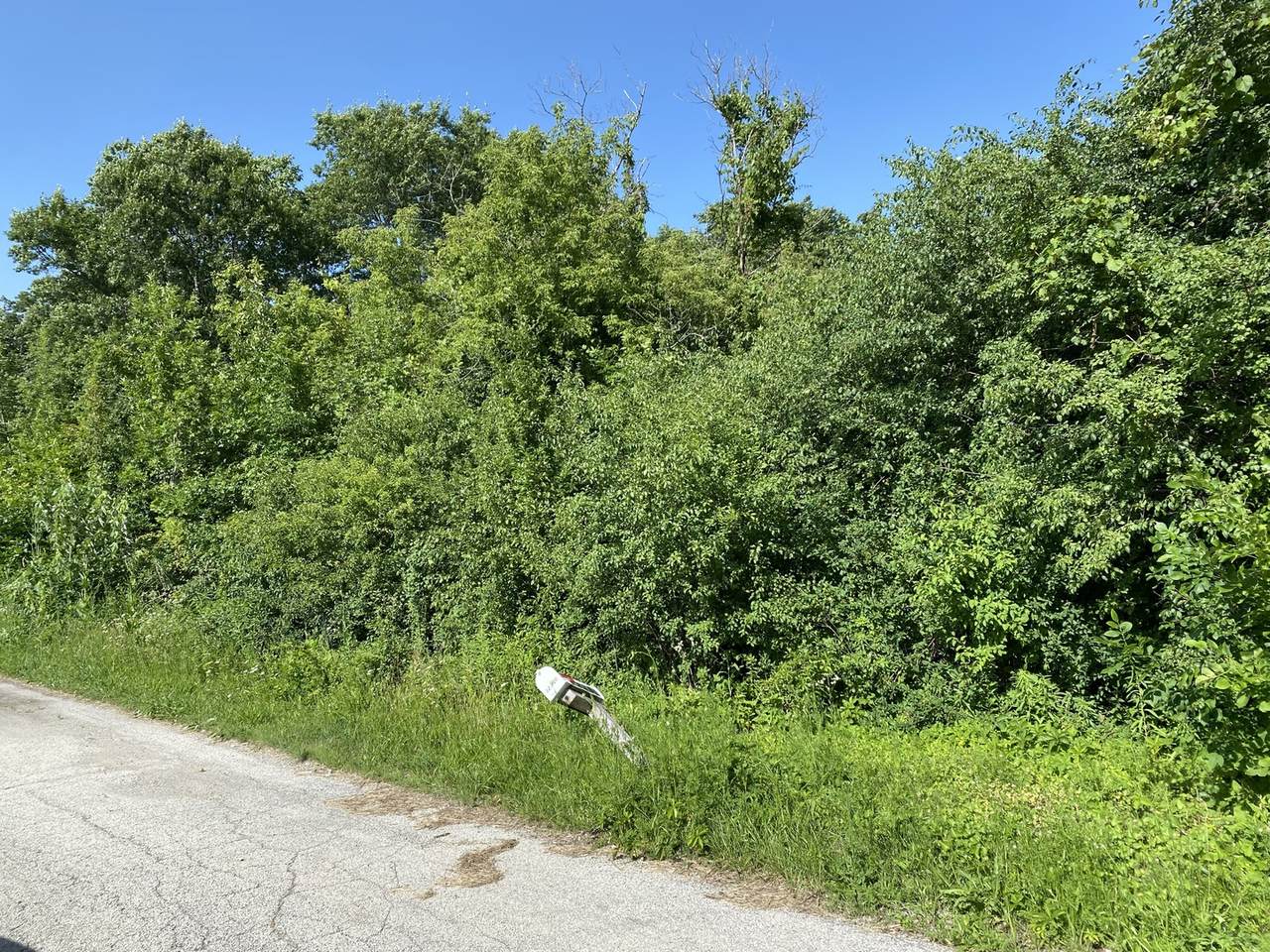 12350 Blossom Avenue - Photo 1